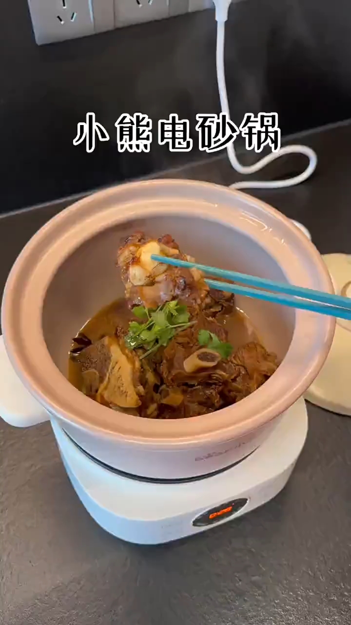 小熊快炖电砂锅家用电炖锅炖盅煮粥煲汤多功能烹饪机养生炖煮神器