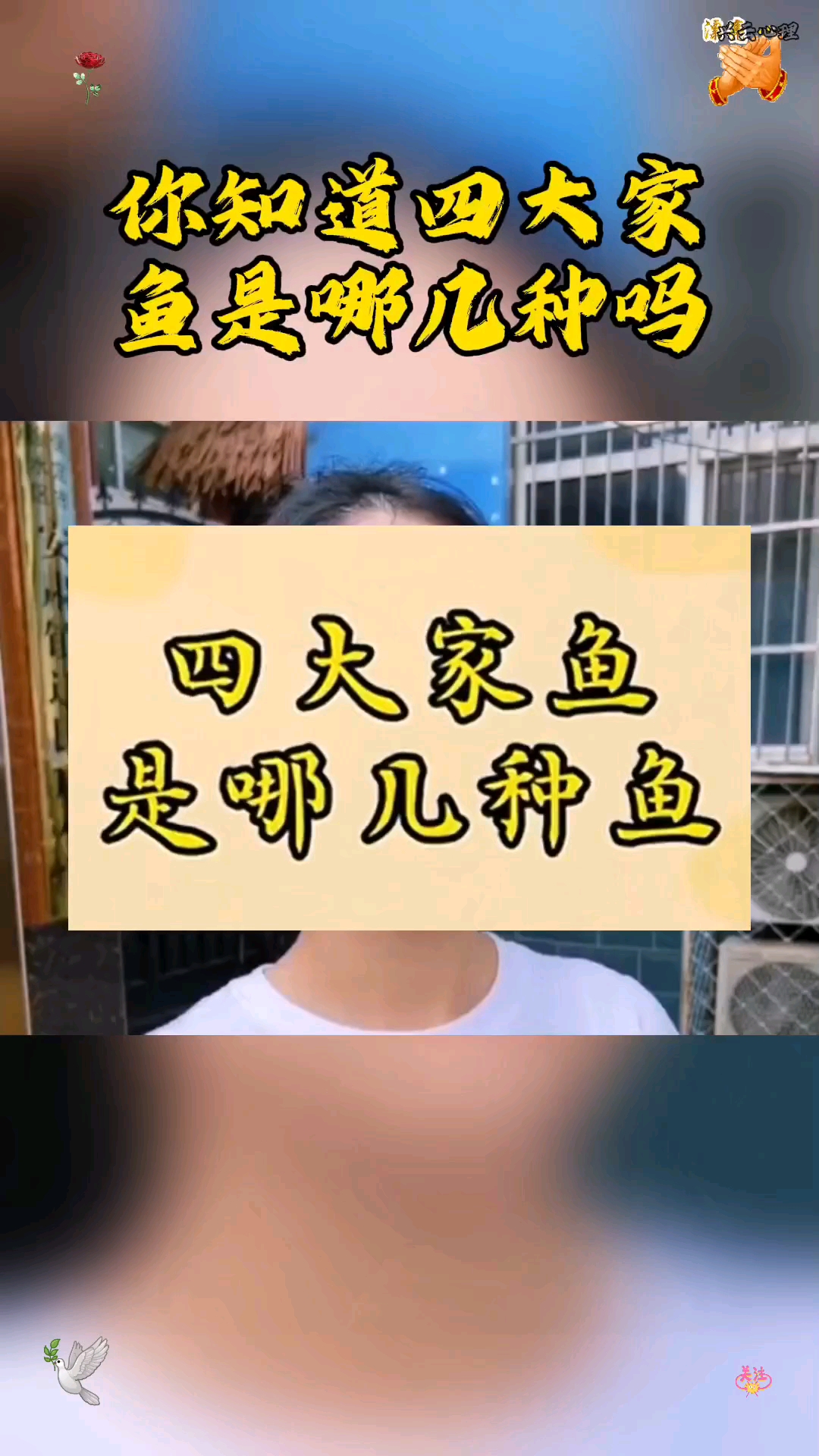 四大家鱼究竟是哪四种?