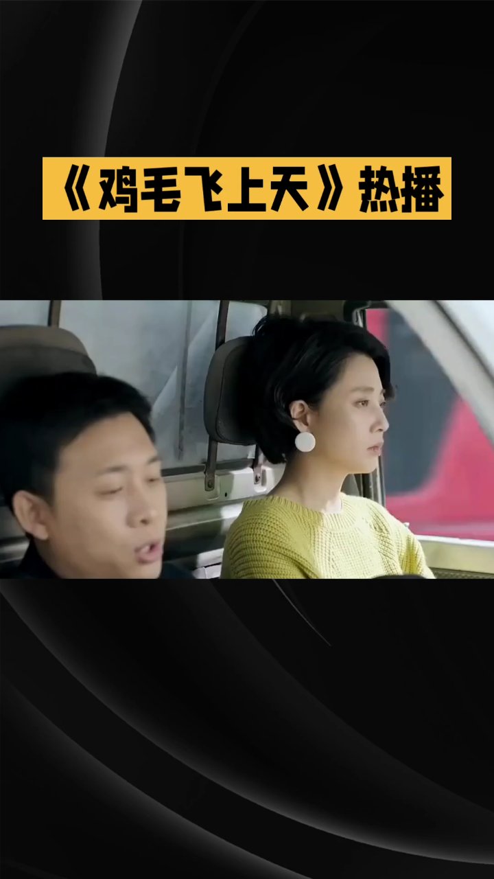 鸡毛飞上天电视剧解说
