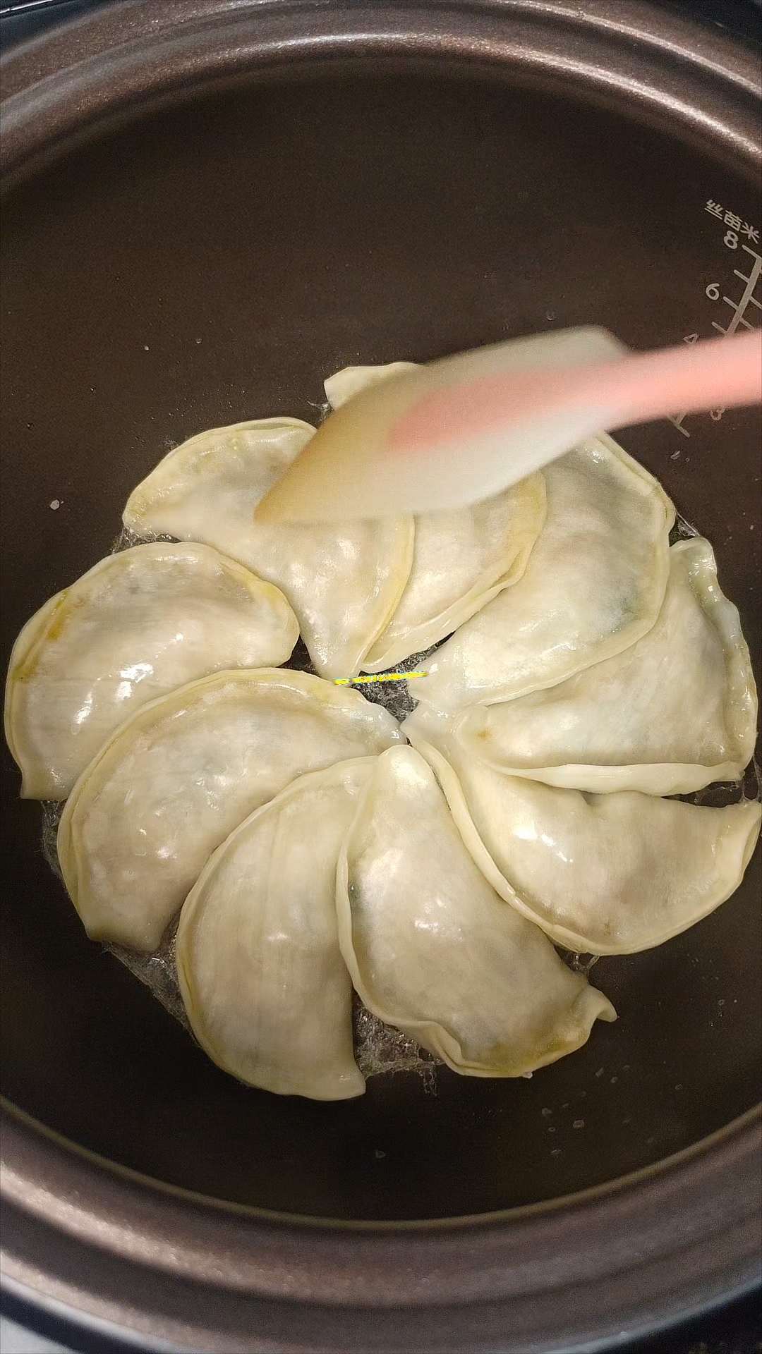 救命!我尝试用电饭锅做水煎饺子,居然没有翻车啊!#减脂餐是这