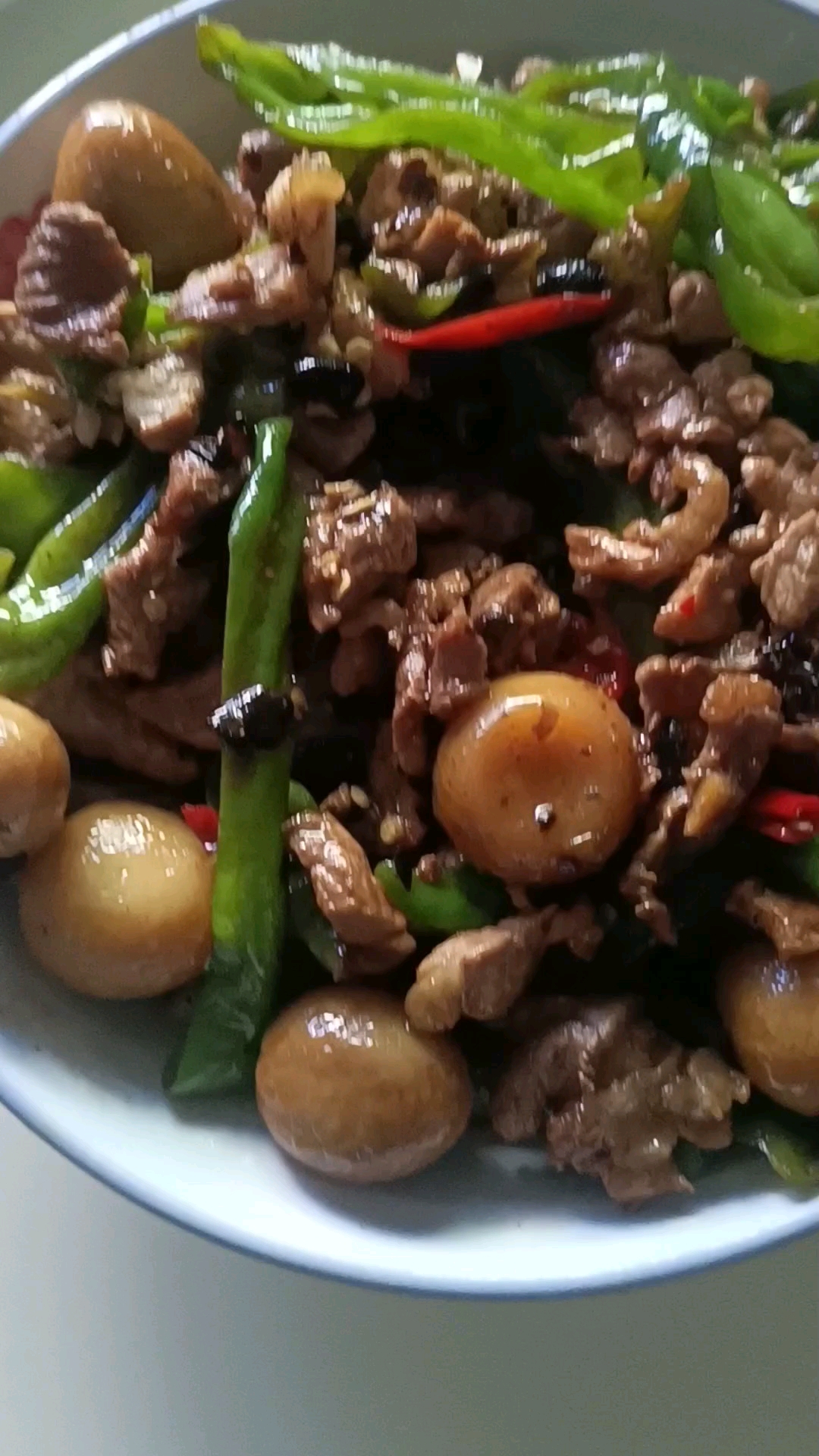 辣椒炒肉,秘制豆豉-家乡味道
