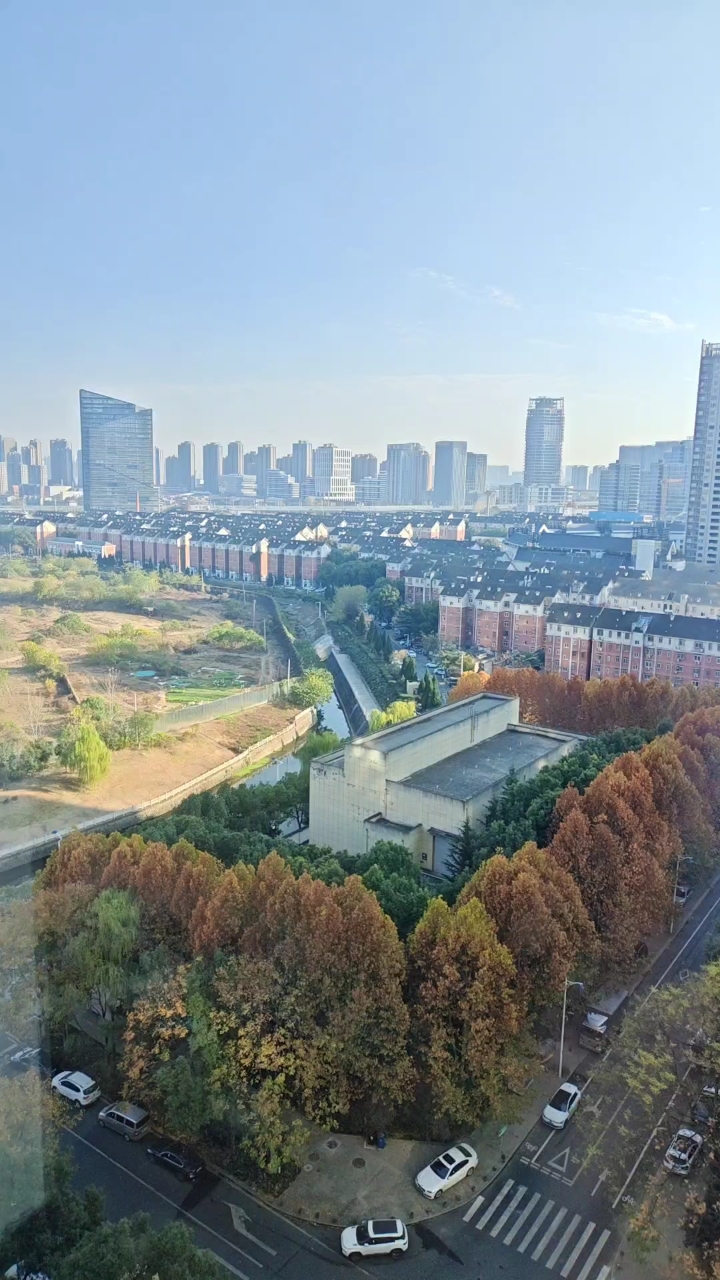 安徽合肥秋色,新盘天鹅湾一号一瞥