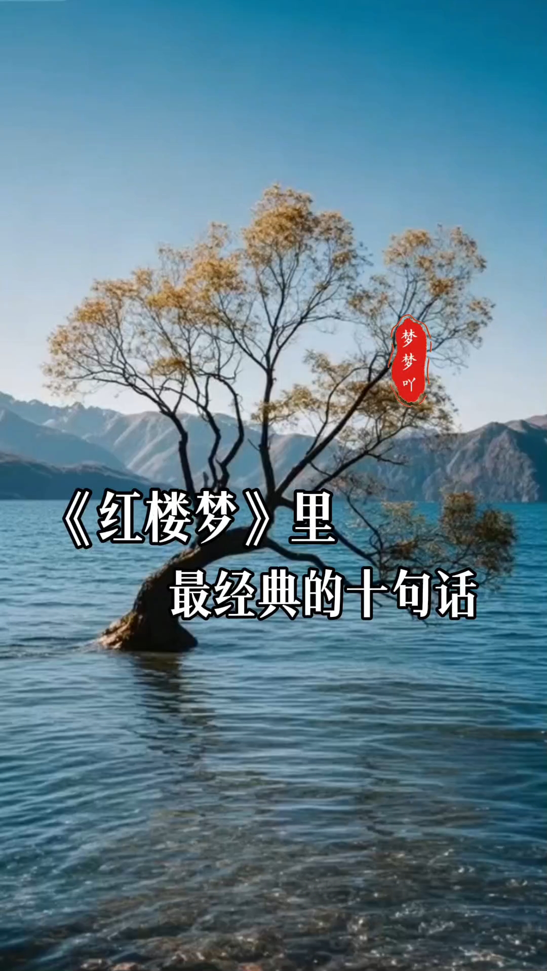 《红楼梦》里最经典的十句话