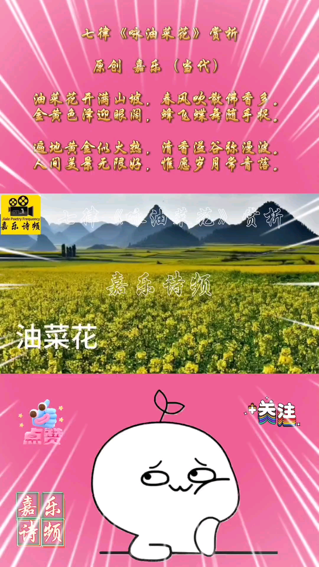 七律《咏油菜花》赏析