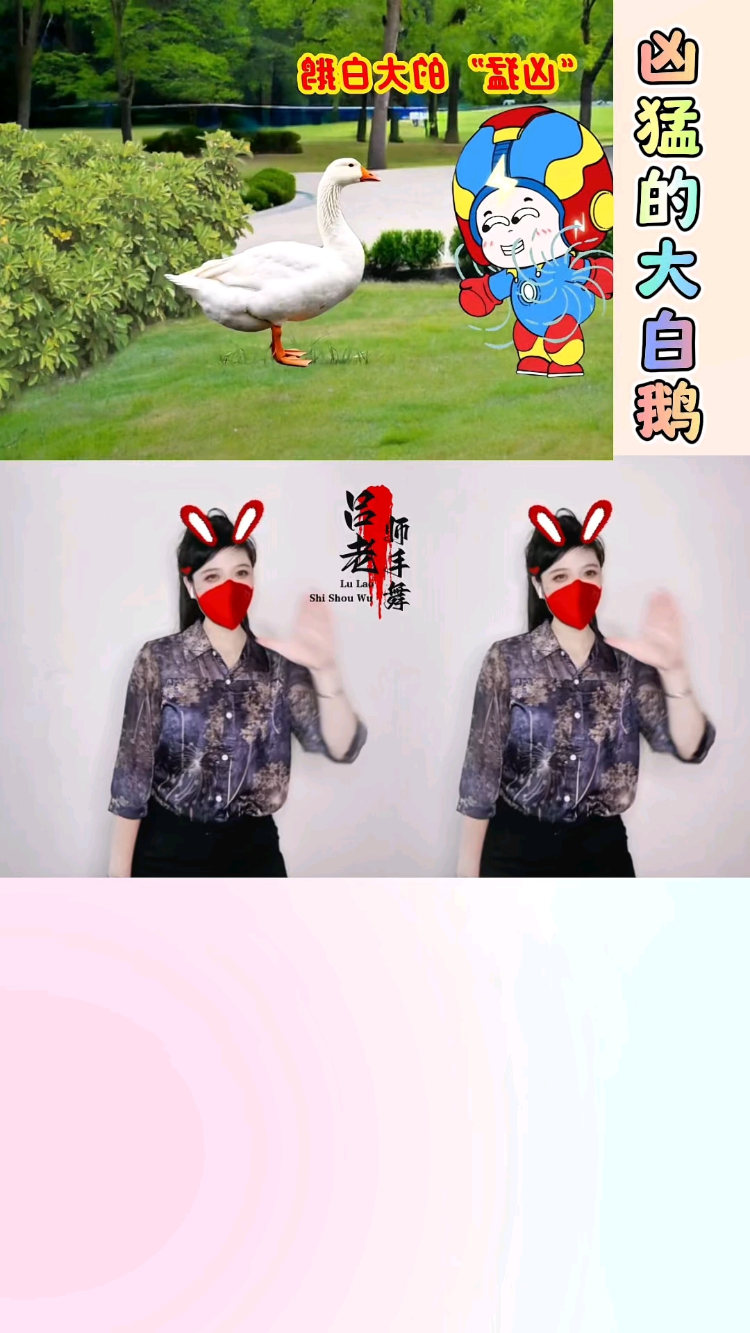 凶猛的大白鹅