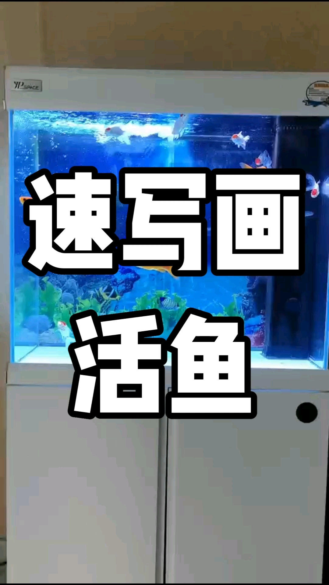 速写画活鱼