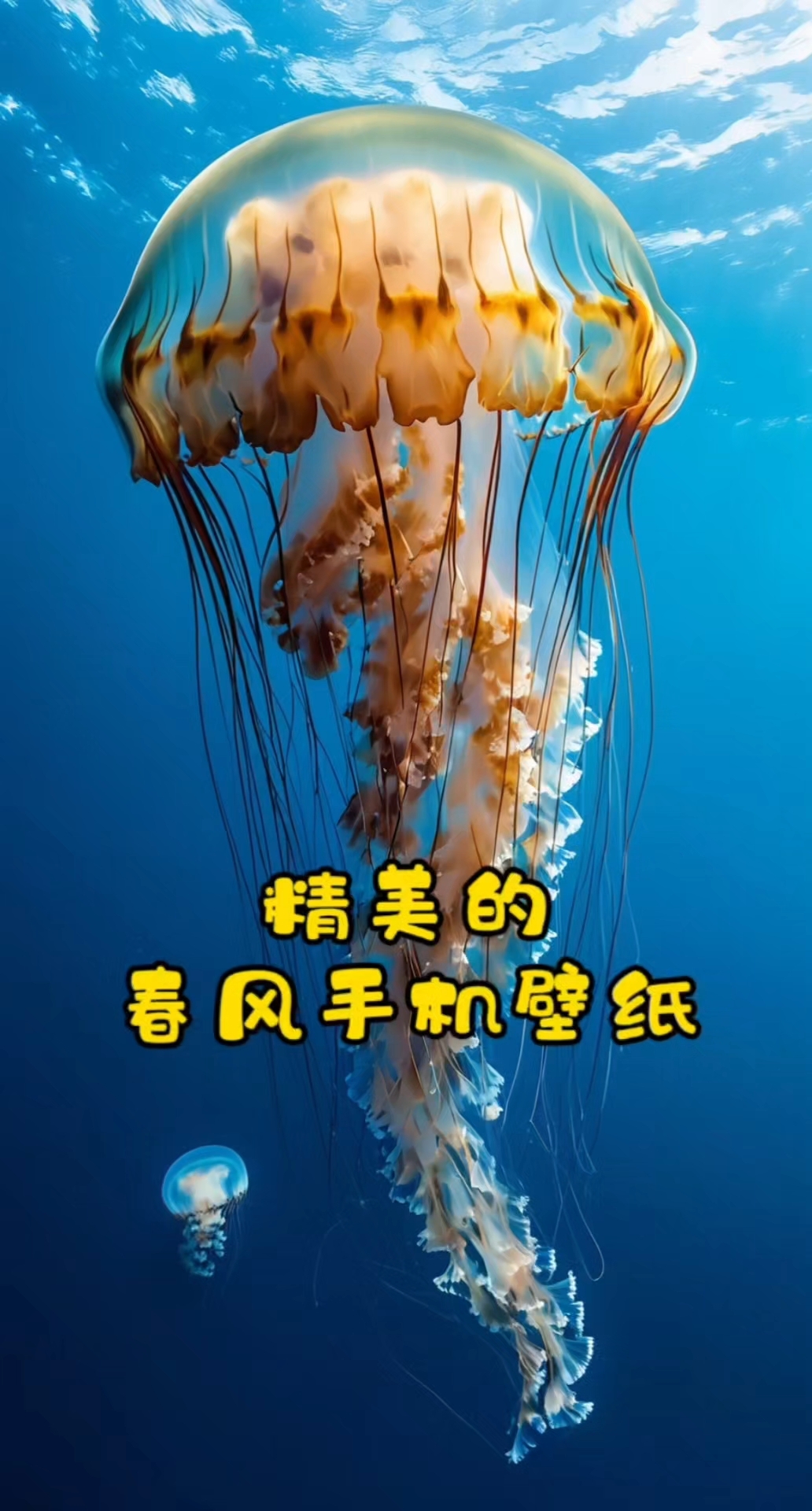 你的手机壁纸该换了