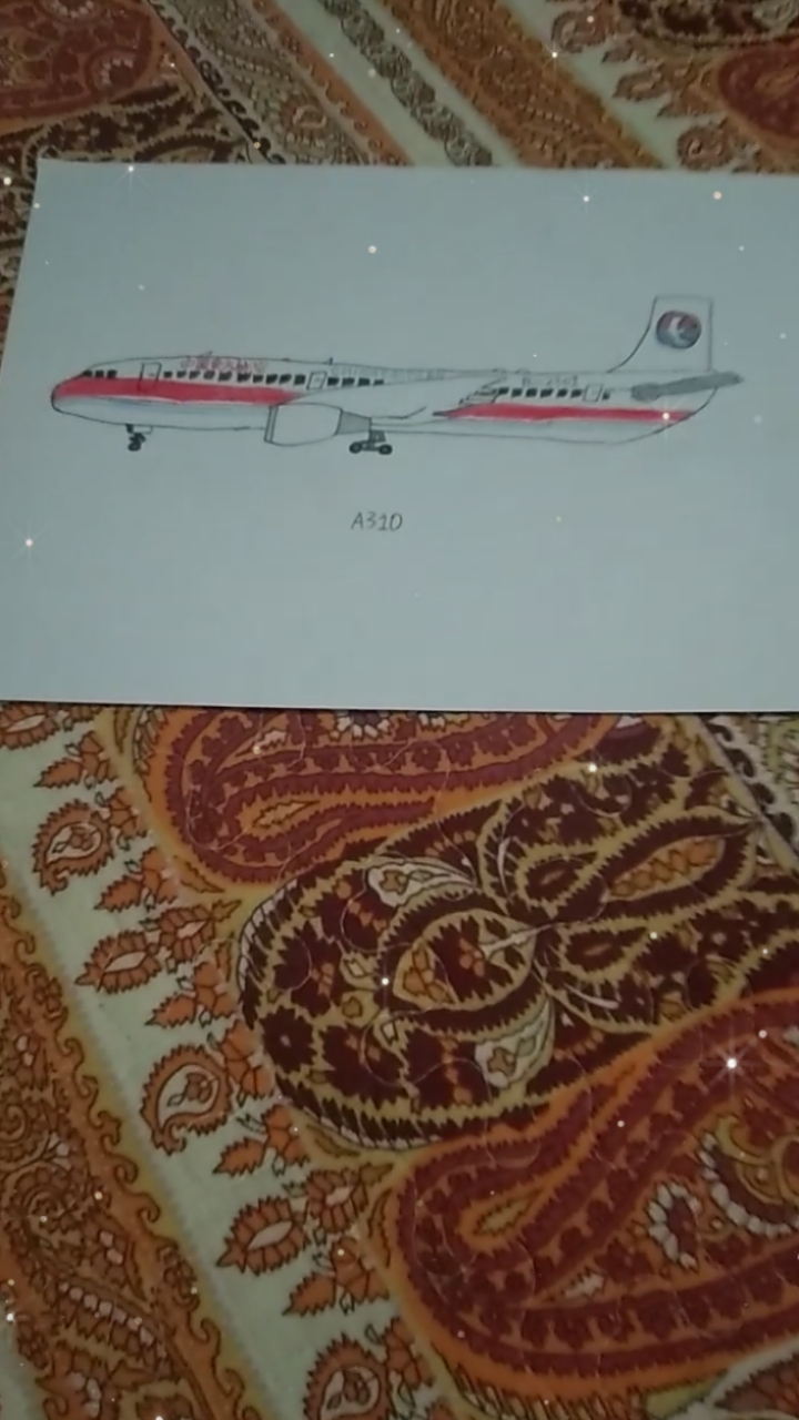 A310  第十一集