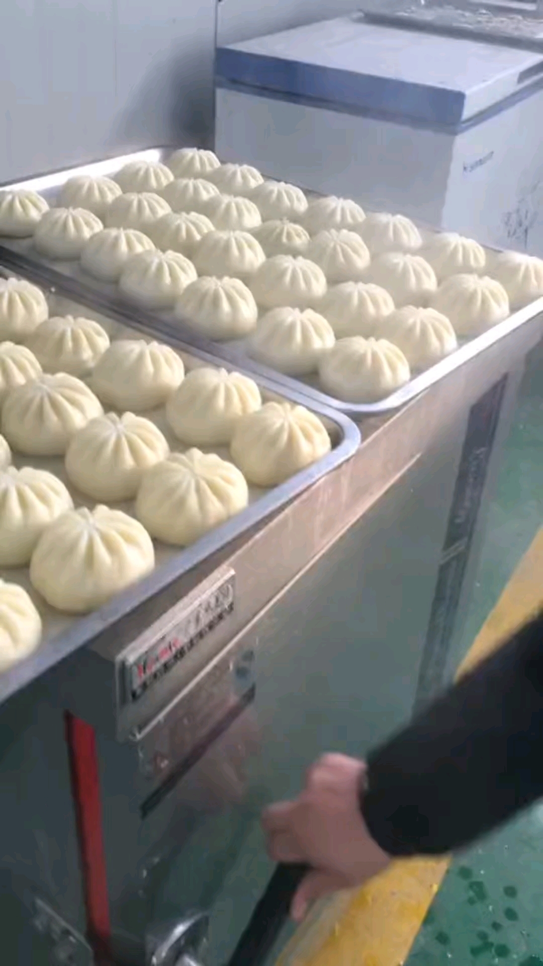 包子机#全自动包子机 #早餐早点 #包子 #包子机