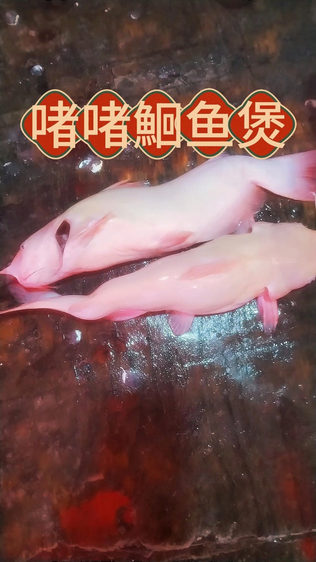 啫啫鮰鱼煲,啫啫万物不忌,换个其他食材也可以造,都试试吧