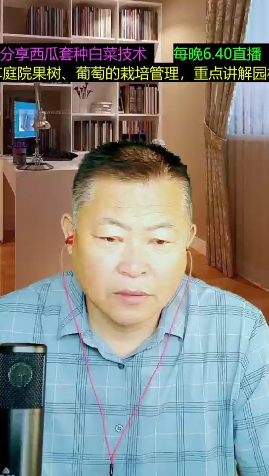 楼房阳台种植蔬菜