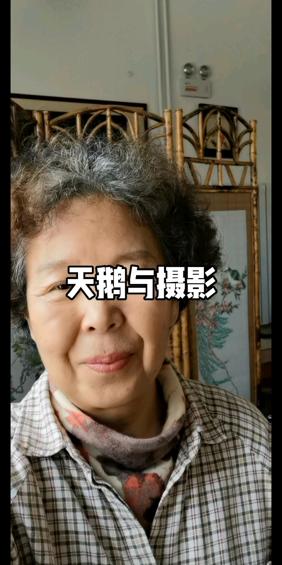 山东荣成天鹅与摄影人的天堂