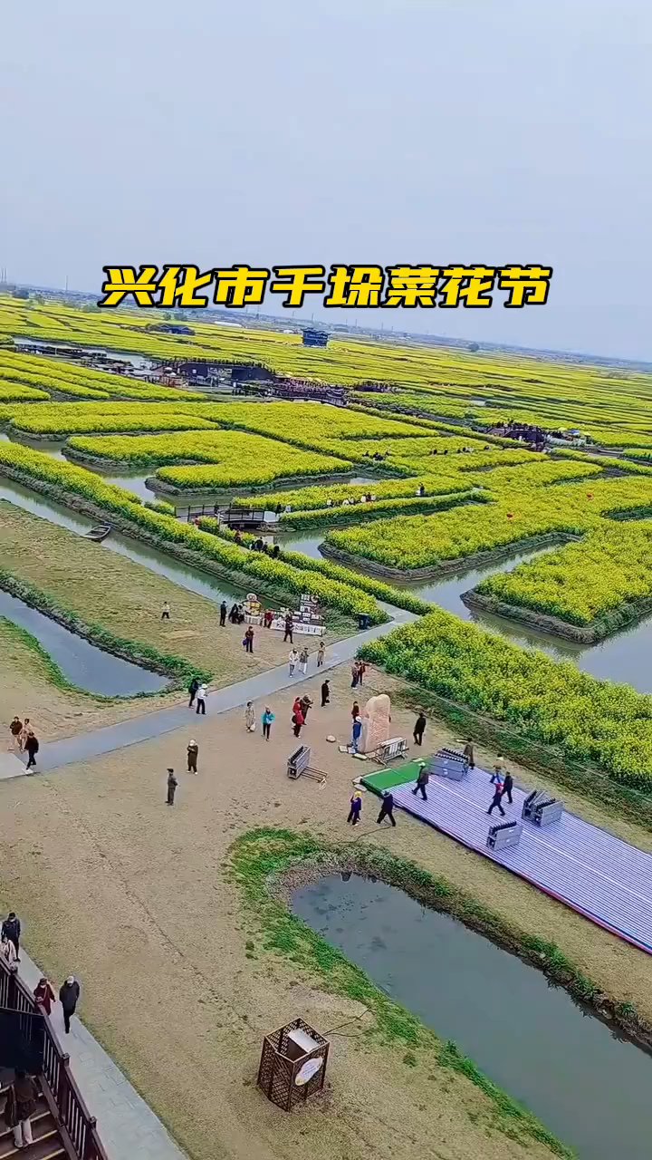 兴化市千垛菜花节