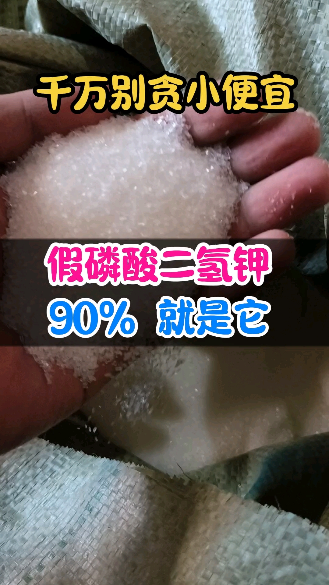 市面上 90% 的假货磷酸二氢钾就是他冒充的
