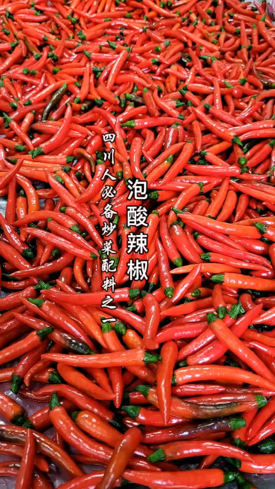 来,做川菜中的另一个配料灵魂:泡酸辣椒喽