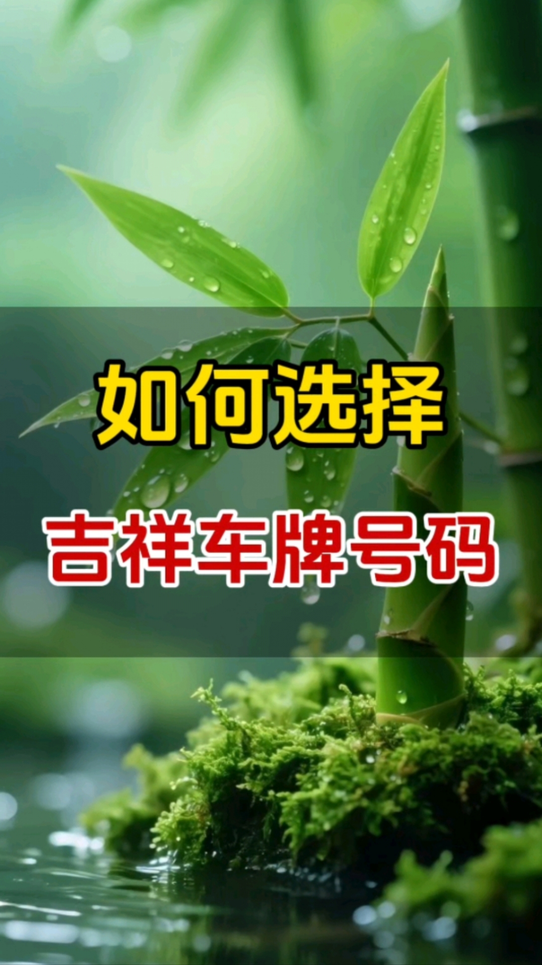 如何选择一个吉祥的车牌号码呢？