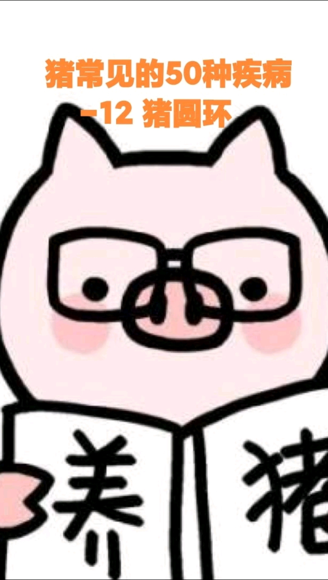 -12猪圆环病毒 病原 症状 如何防治