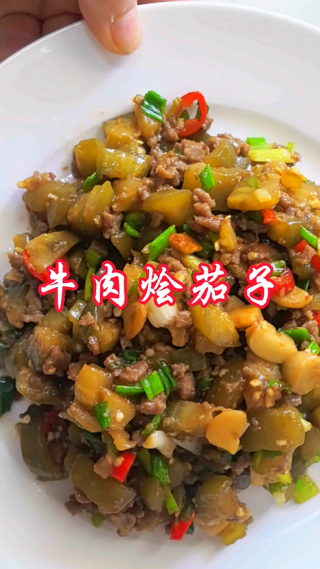 牛肉烩茄子费米饭神器,在家这样做太好吃了#分享美食#分享家常