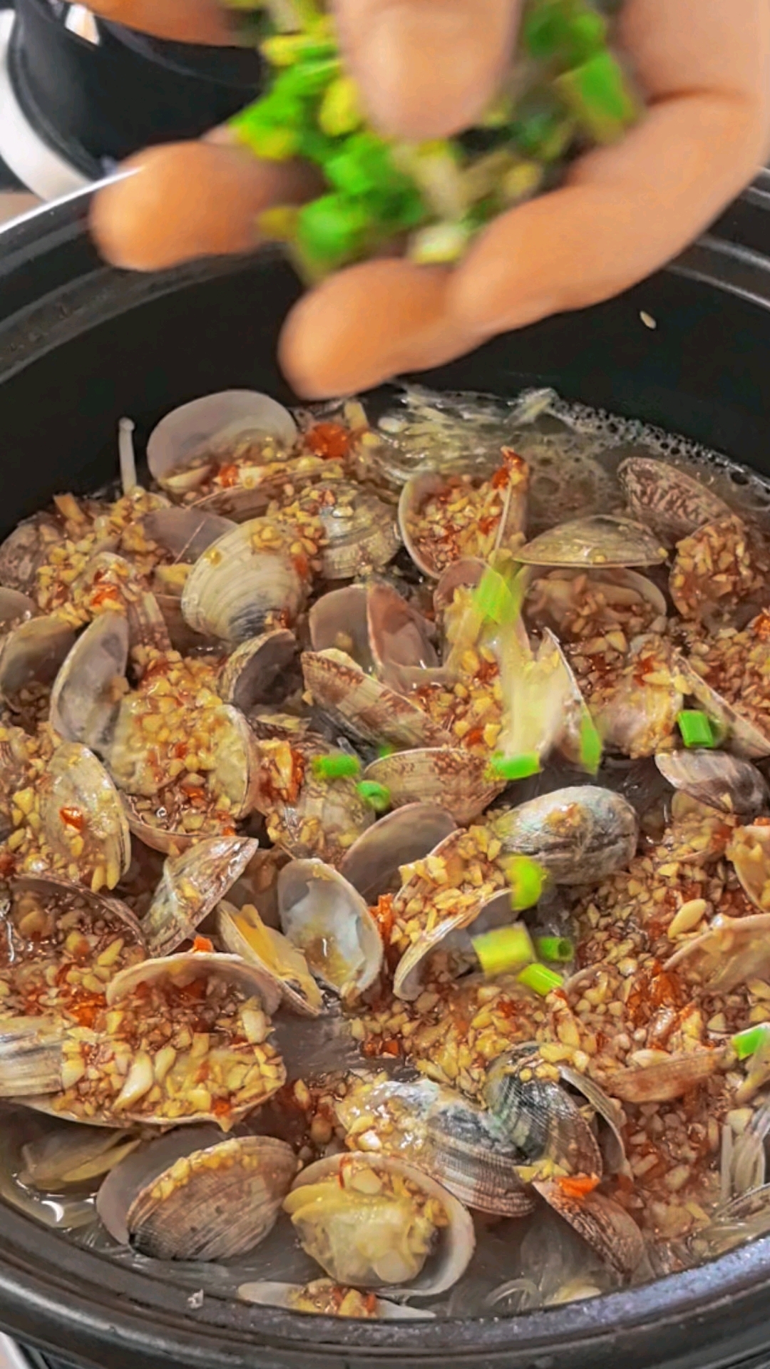 好吃的蒜蓉粉丝花甲做法来喽#分享美食#分享家常菜#午饭打卡