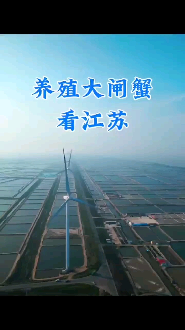 大闸蟹养殖全过程