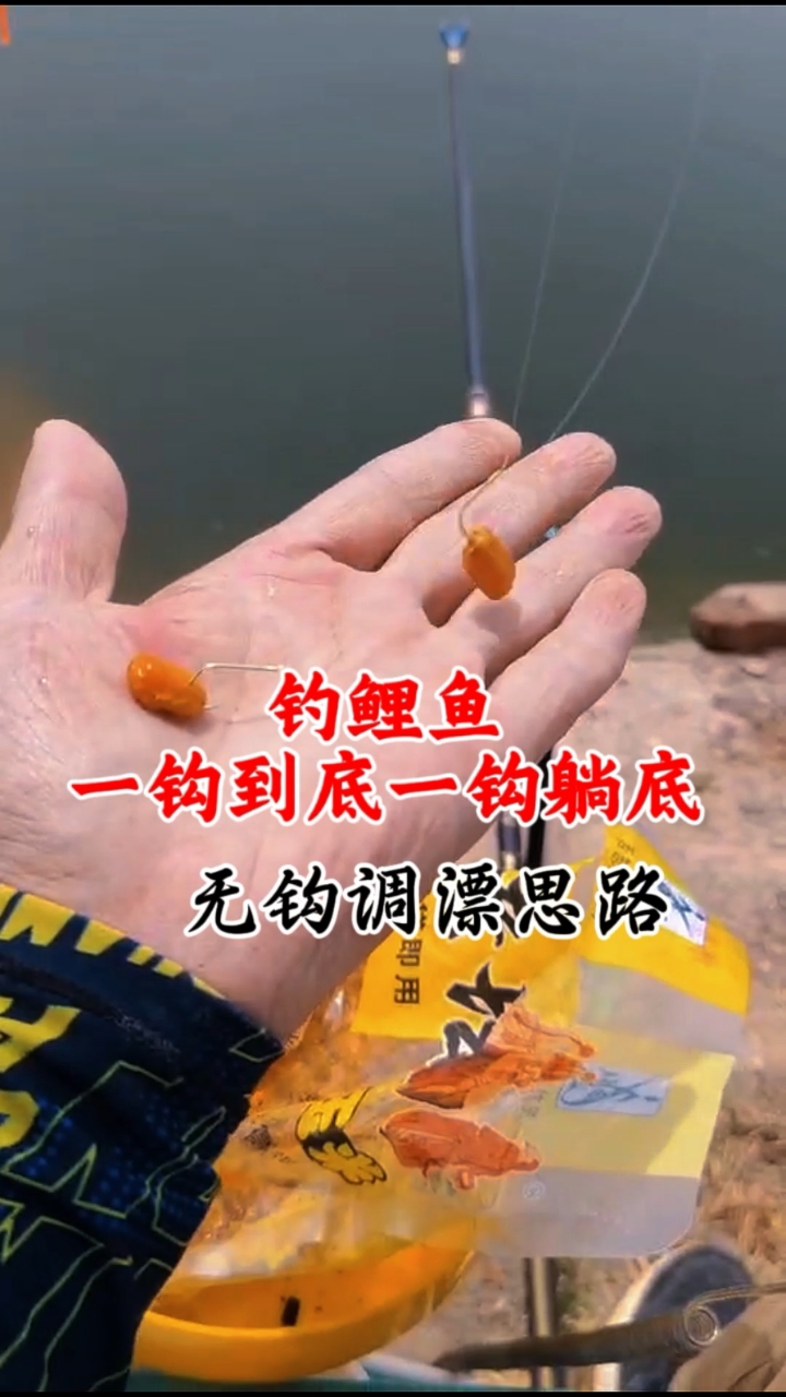 钓鲤鱼一钩到底一钩躺底,调漂方法