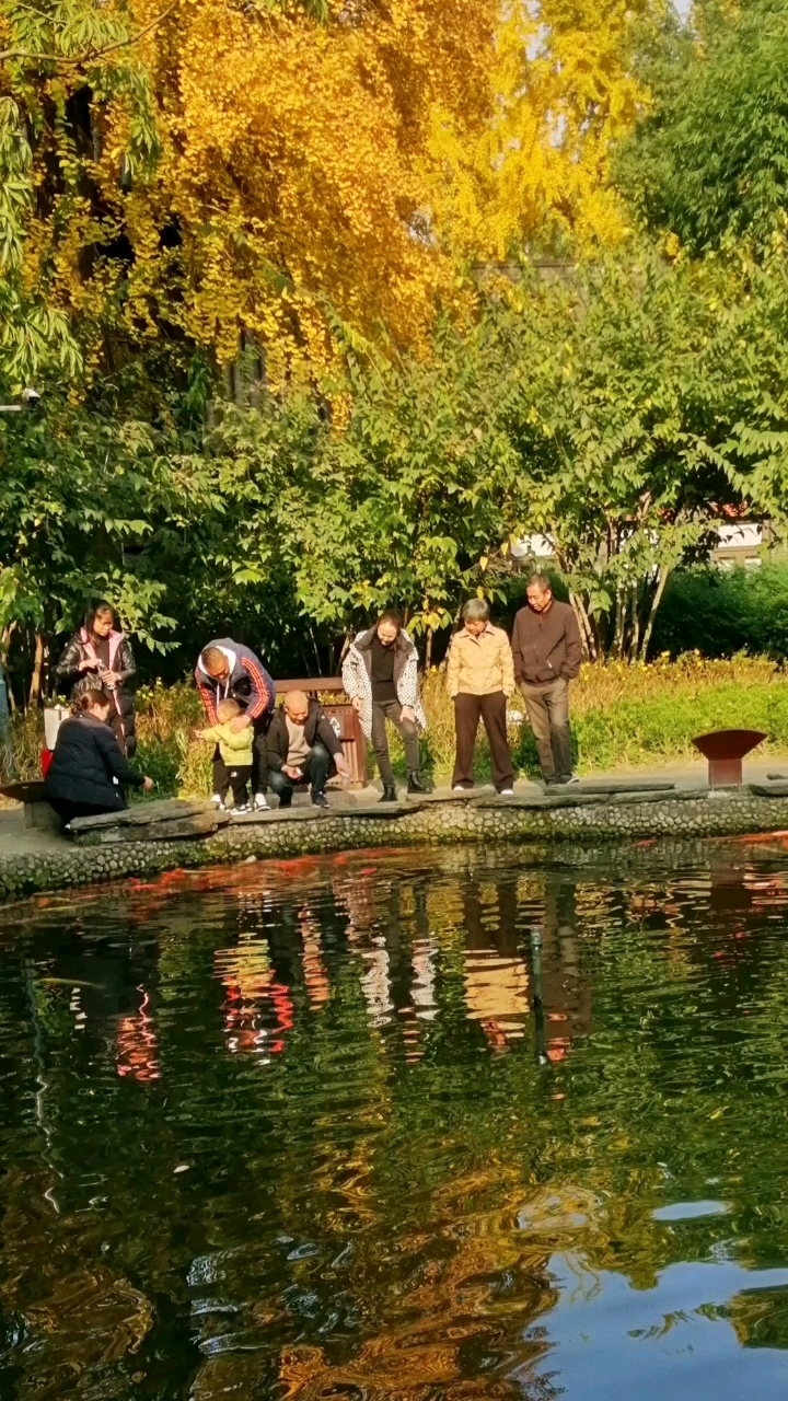 成都人民公园鱼塘景色