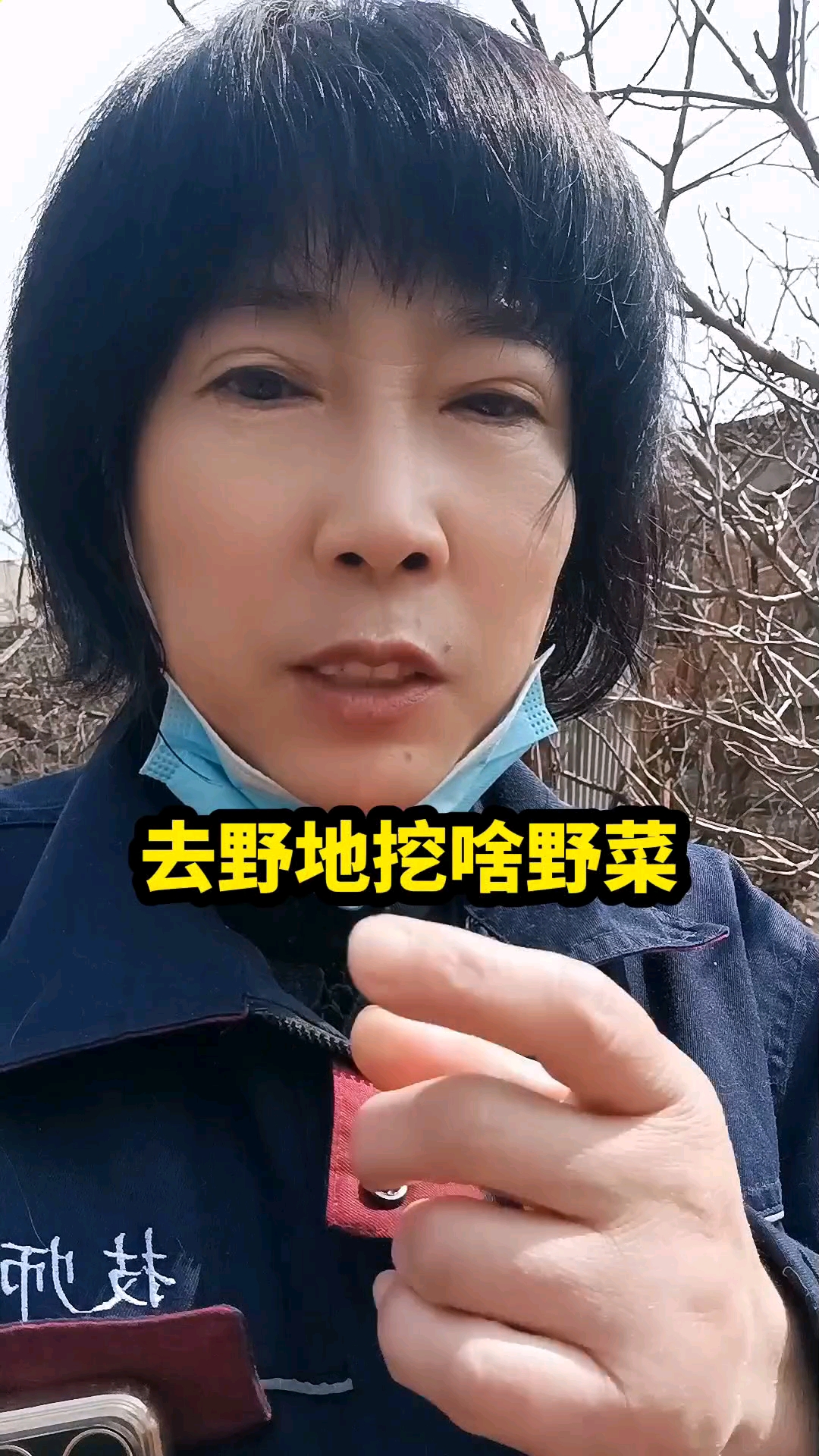 去野地挖啥野菜舍近求远