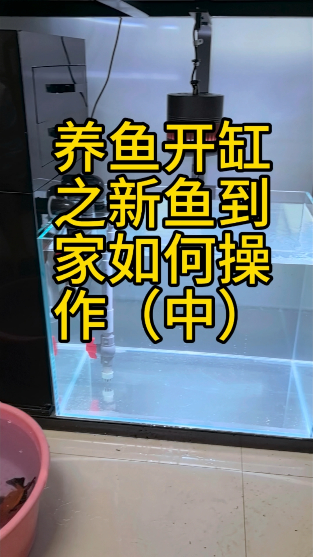 养鱼开缸之新鱼到家如何操作(中)