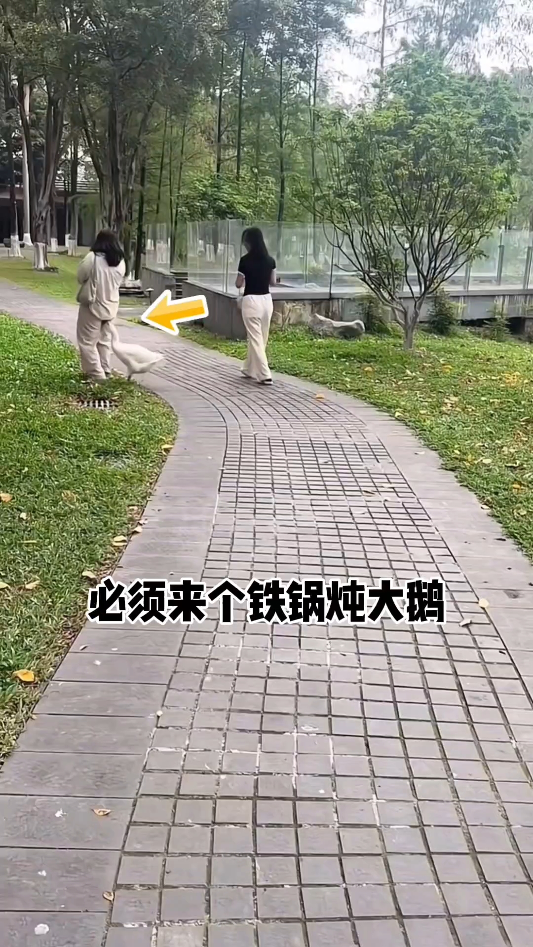 必须来个铁锅炖大鹅