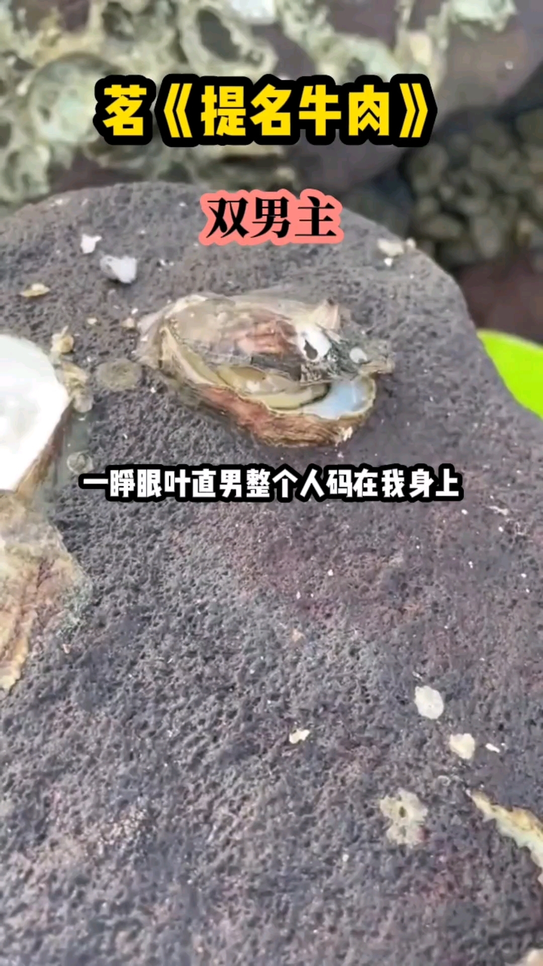 双男主小说