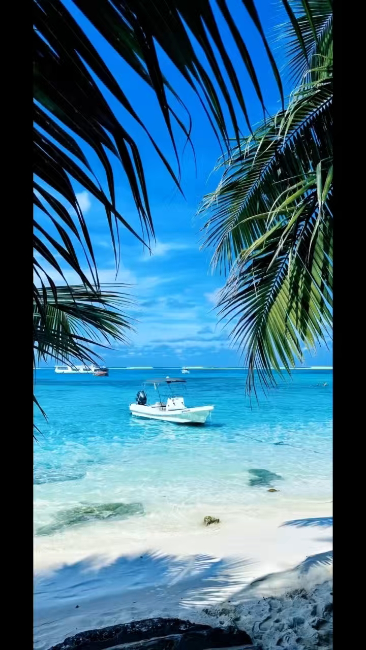 ins风锁屏壁纸.(搬运工)