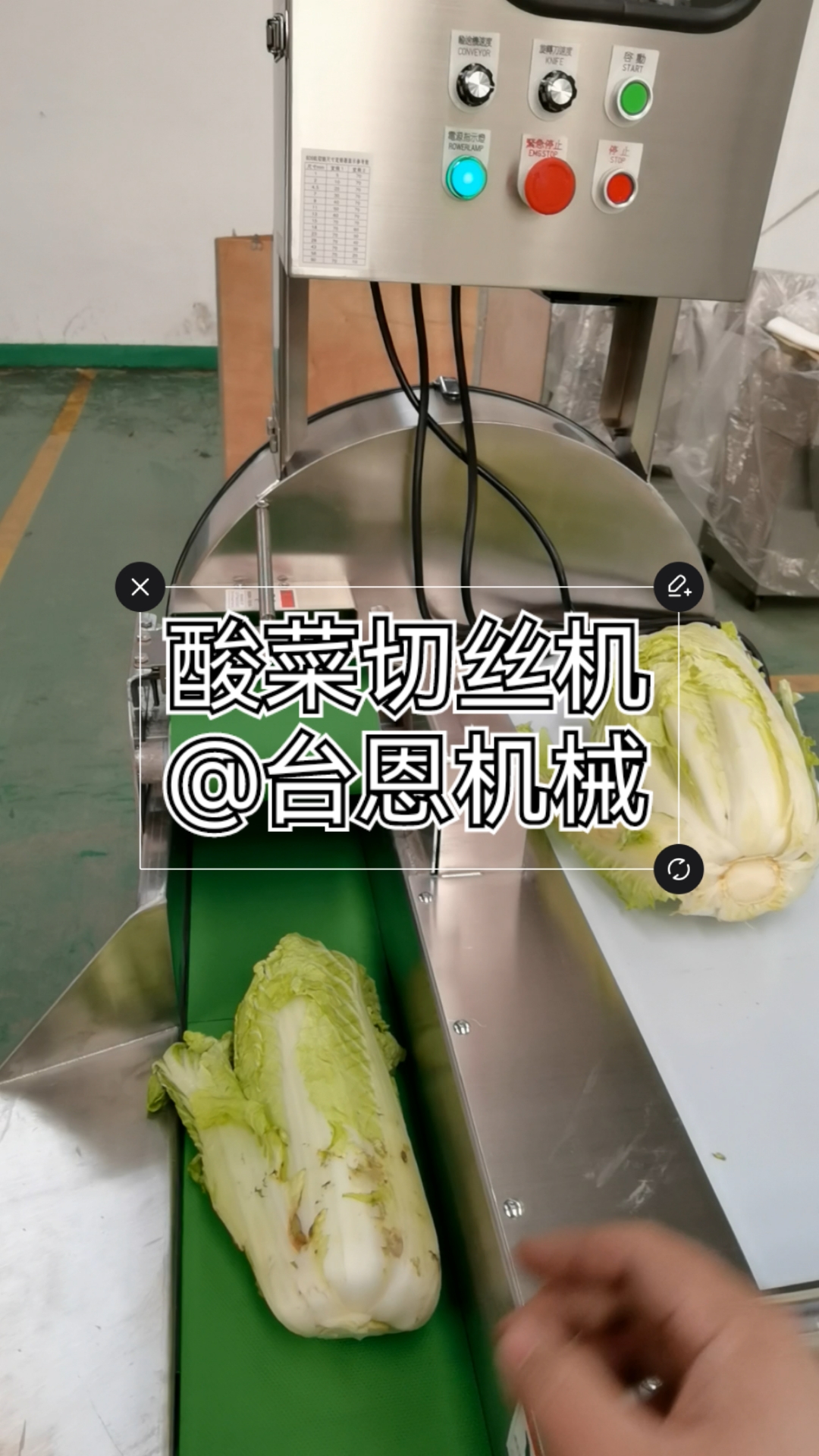 台湾MG806大型切菜机,酸菜切丝机,白菜切段机,蔬菜加工