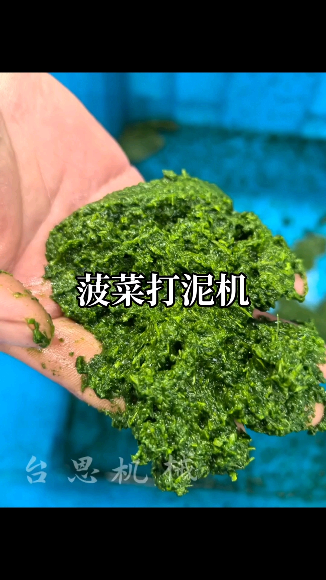菠菜打泥机,果蔬打泥机,台湾打泥机,大型蔬菜打碎机