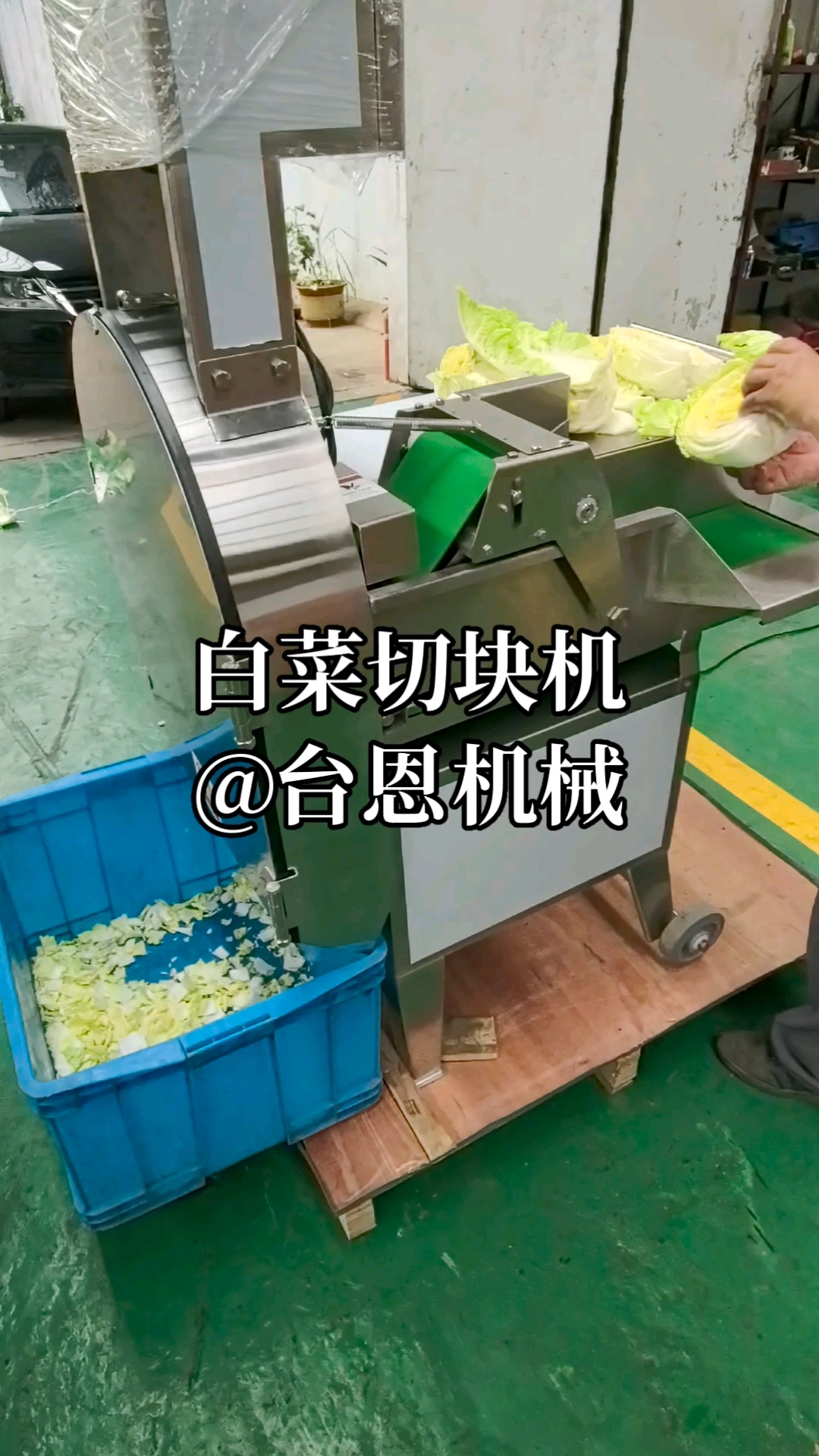 大白菜切块机,大白菜切丁机,台湾806切菜机