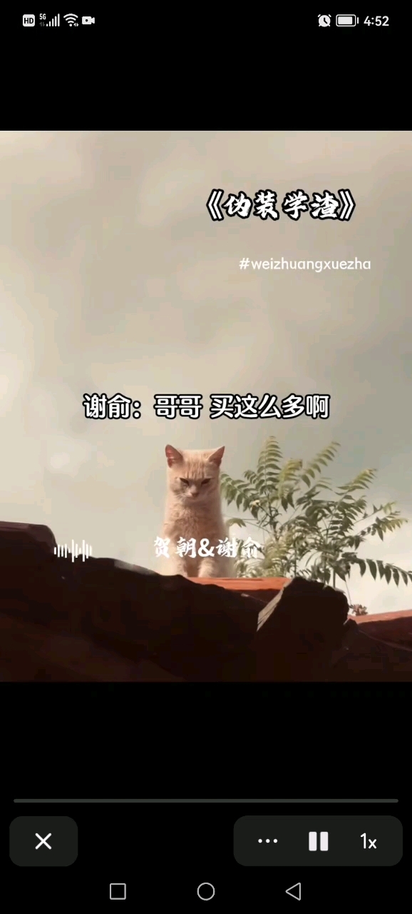 贺朝&谢俞#伪装学渣