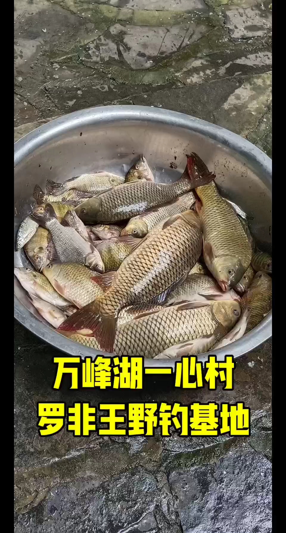 万峰湖钓鱼