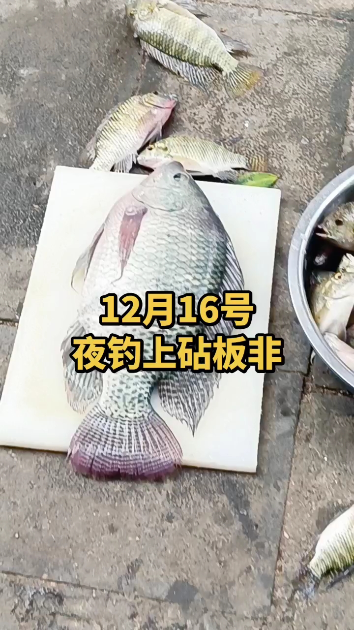 万峰湖钓鱼