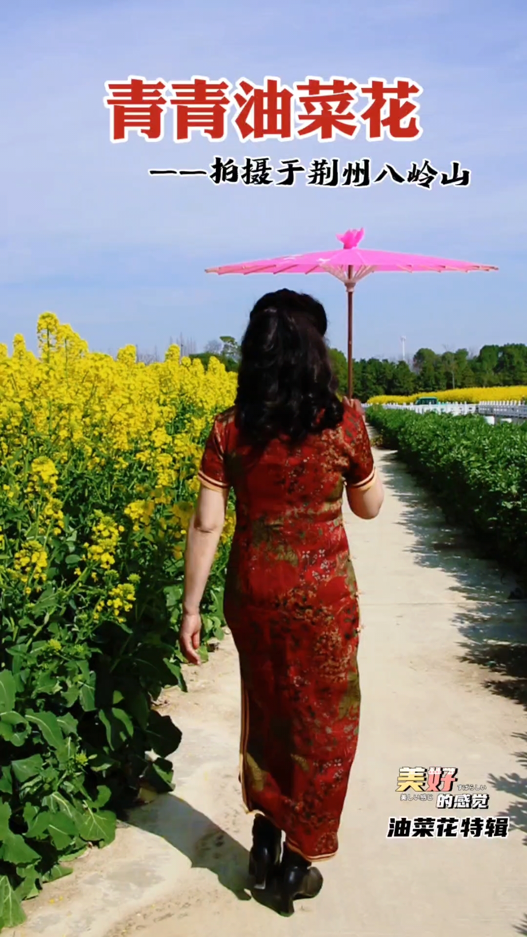 青青油菜花,惊艳八岭山,春日旅行赏花一定要来荆州八岭山