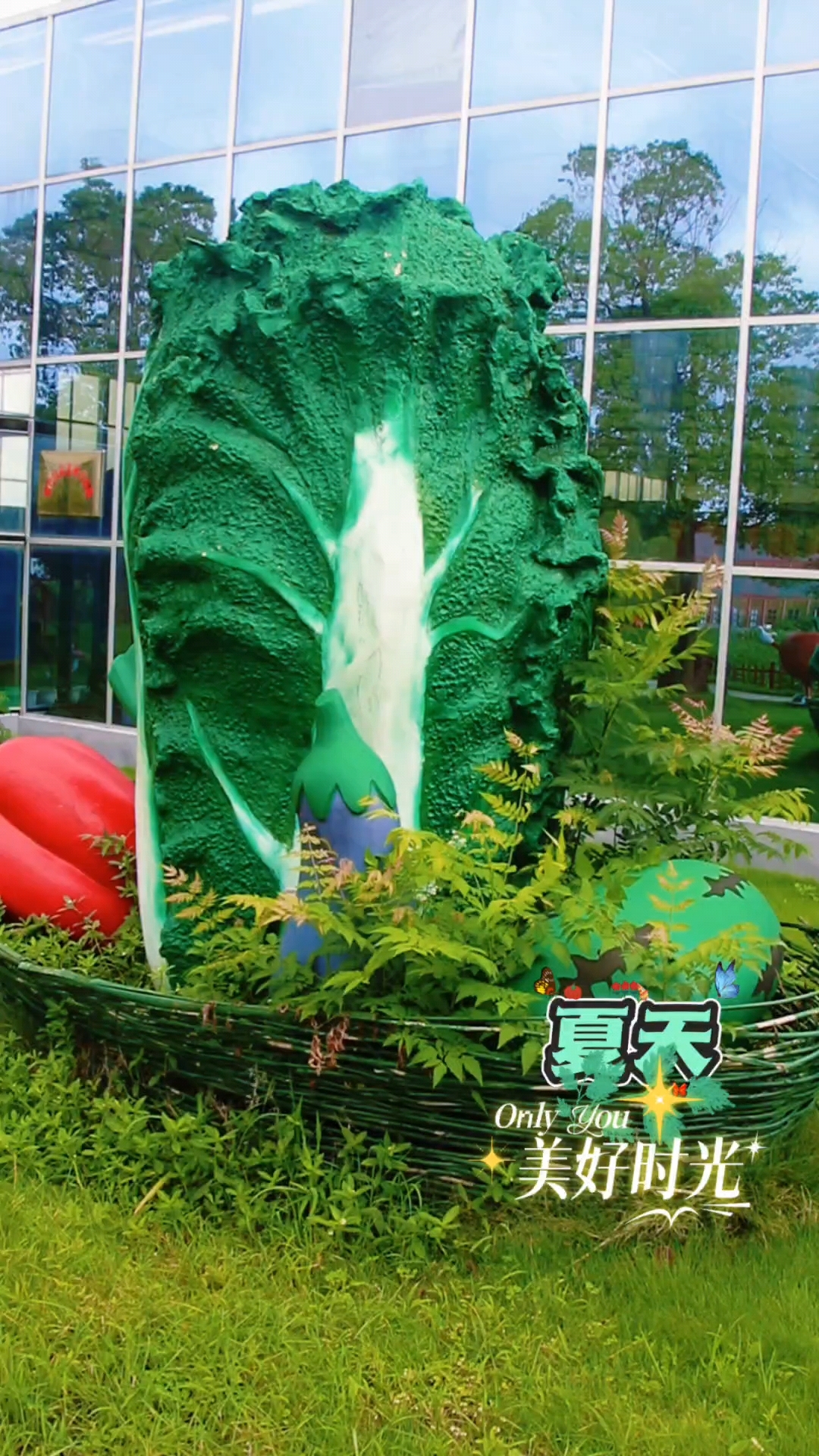 带你去荆州八岭山铜岭岗蔬菜主题公园漫步,静享夏日美好时光