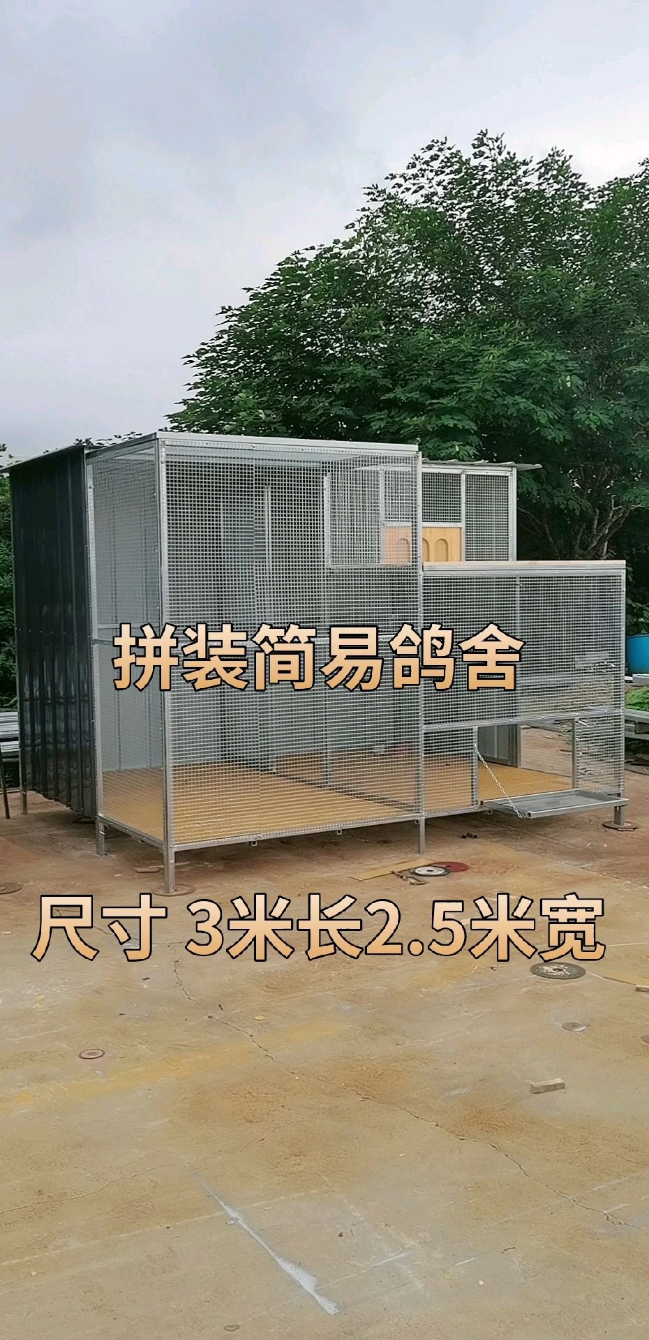 简易实用款鸽舍,新手养鸽家用鸽舍