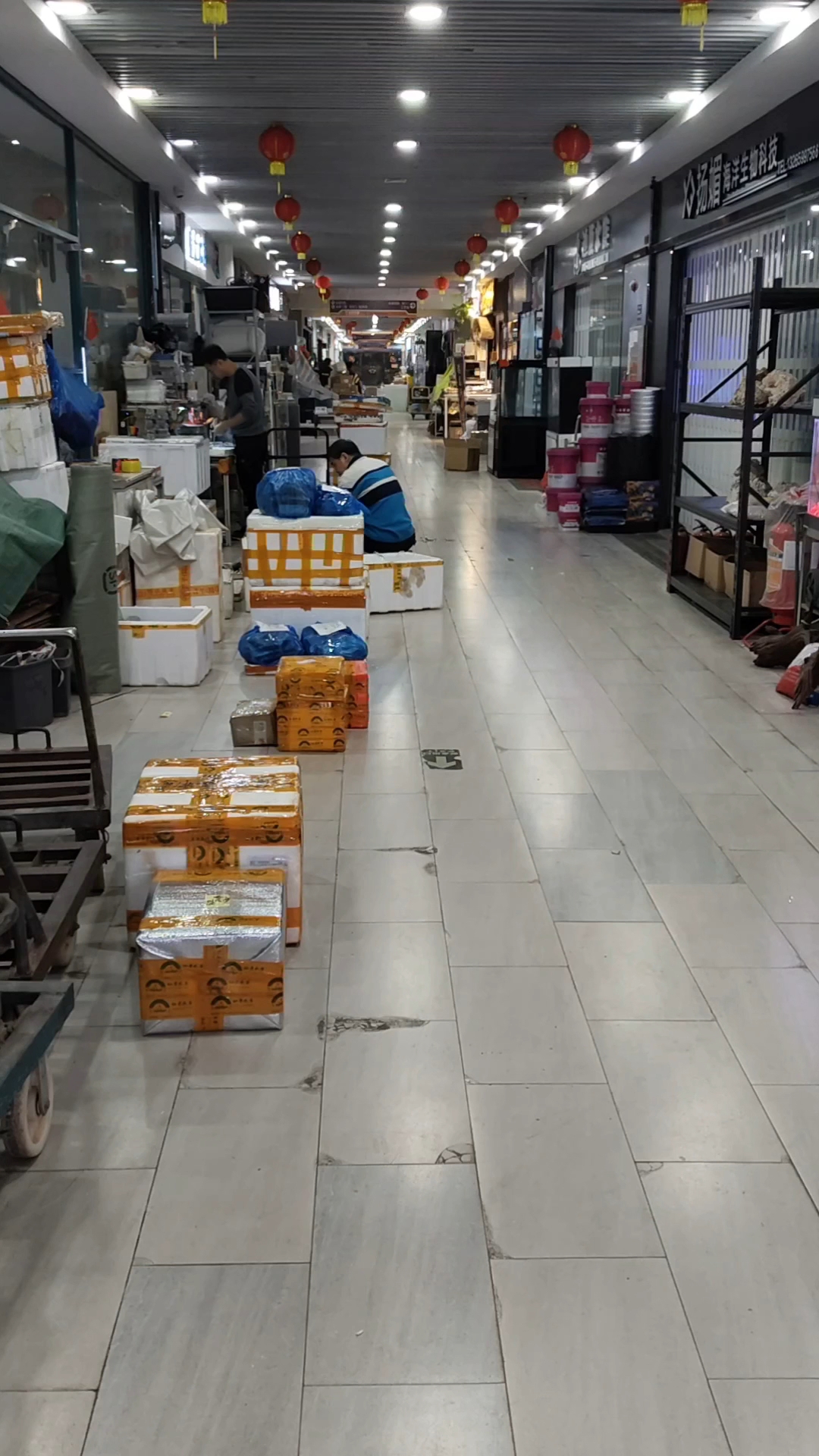 广州观赏鱼品种齐全,有热带鱼、冷水鱼、广温鱼,招财猫食量惊人