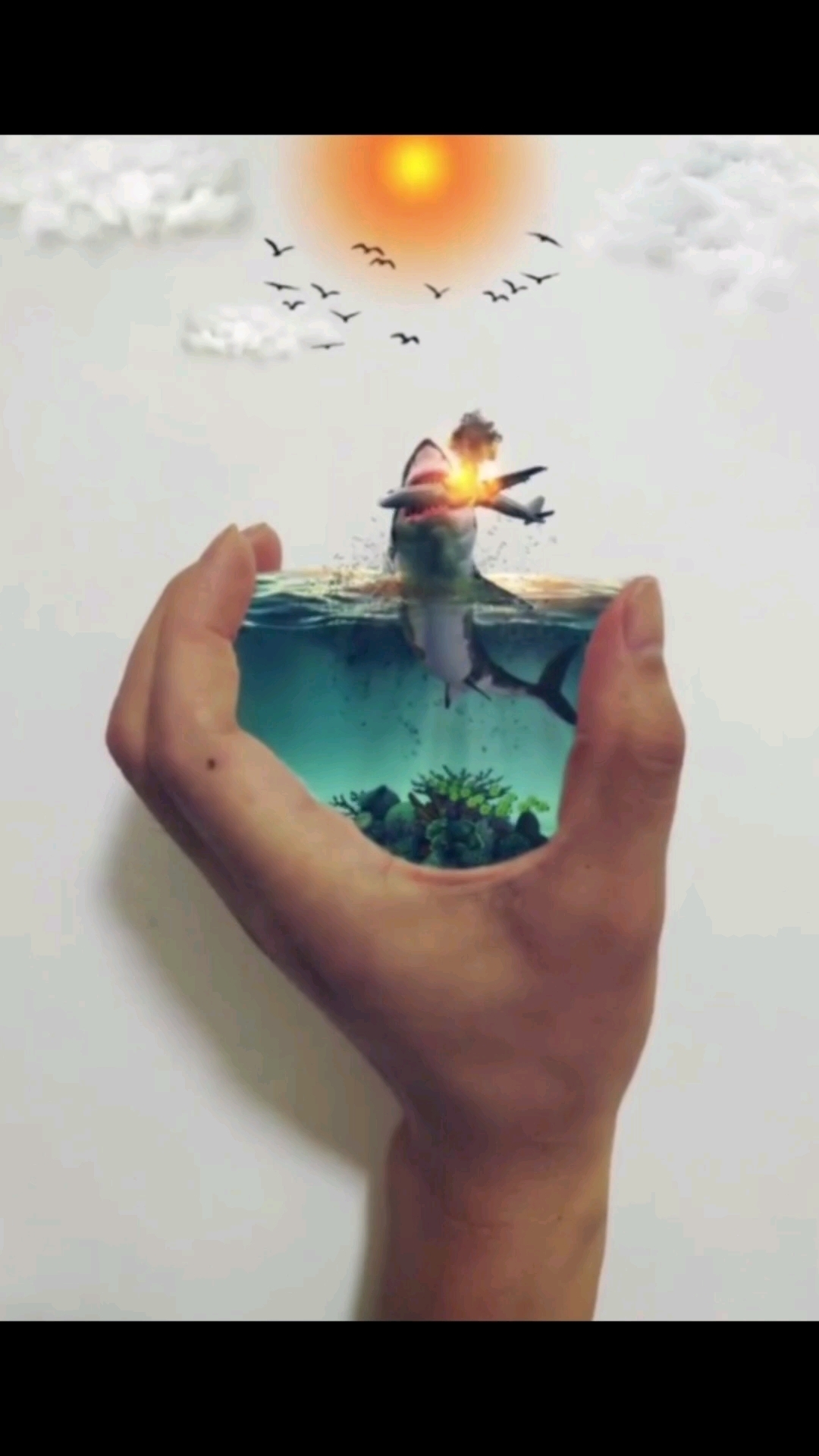 “鲨鱼咬飞机创意照”
