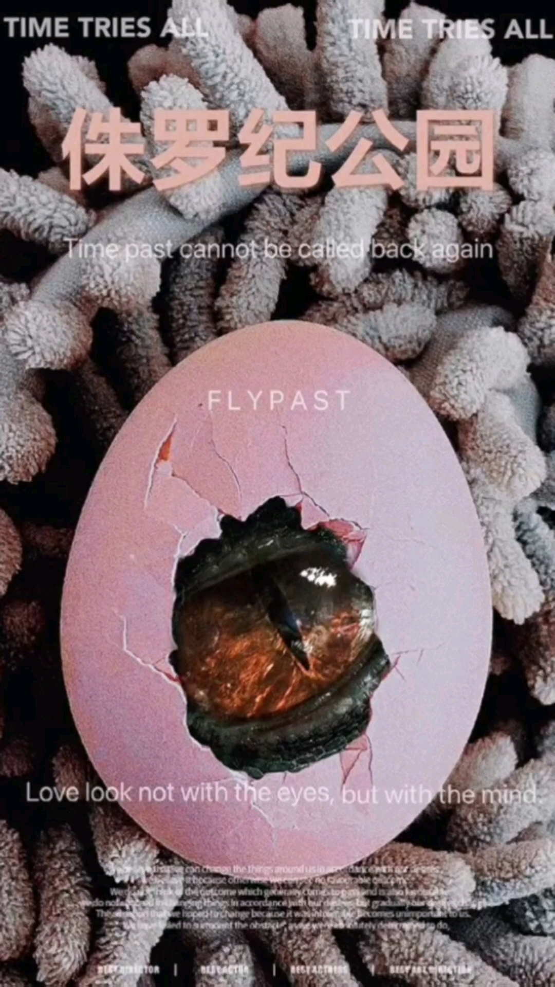 “鸡蛋制作创意照”