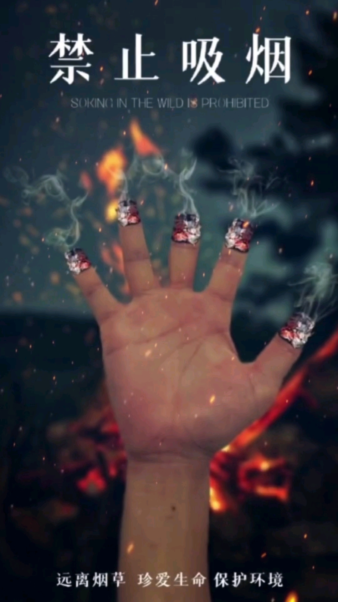 “禁止吸烟”远离烟草,珍爱生命
