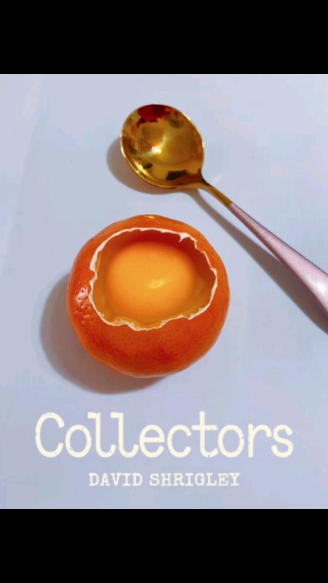 “这橘子鸡蛋羹有点特别”