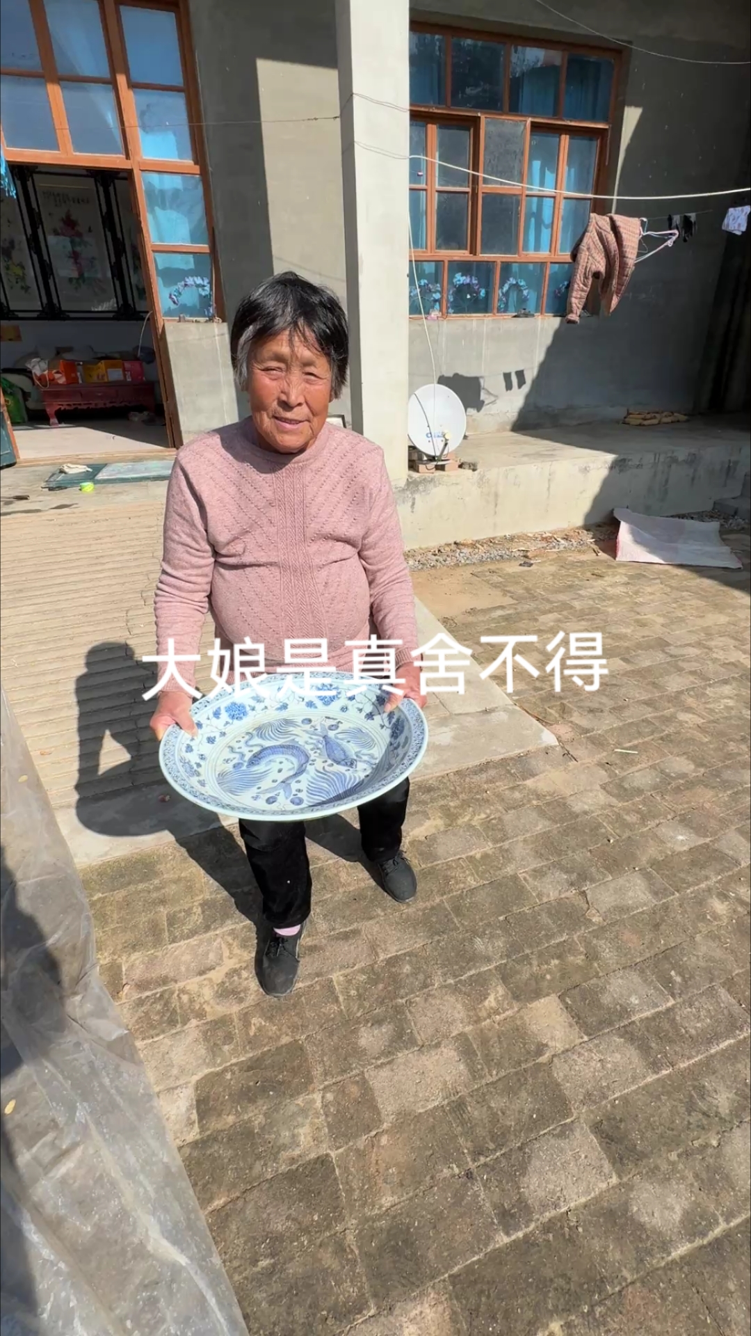 青花鱼藻纹盘子