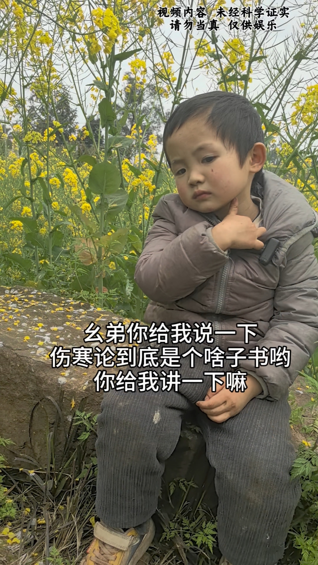 爸爸问4岁儿子,伤寒论到底是个啥子书
