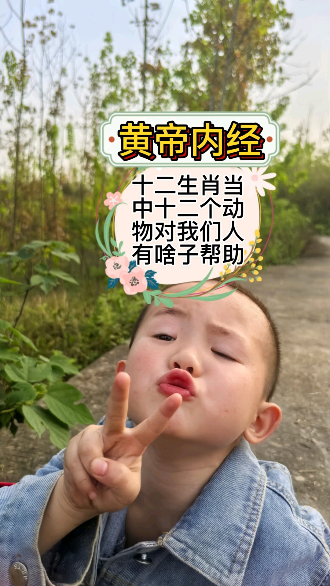 爸爸问 5 岁儿子,十二生肖十二个动物对我们人到底有哪些用处