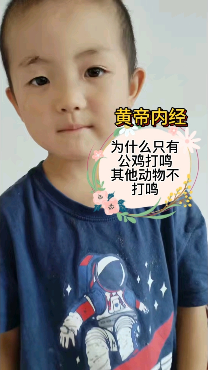 爸爸问5岁儿子，为什么只有公鸡打鸣#童言童语#国学智慧