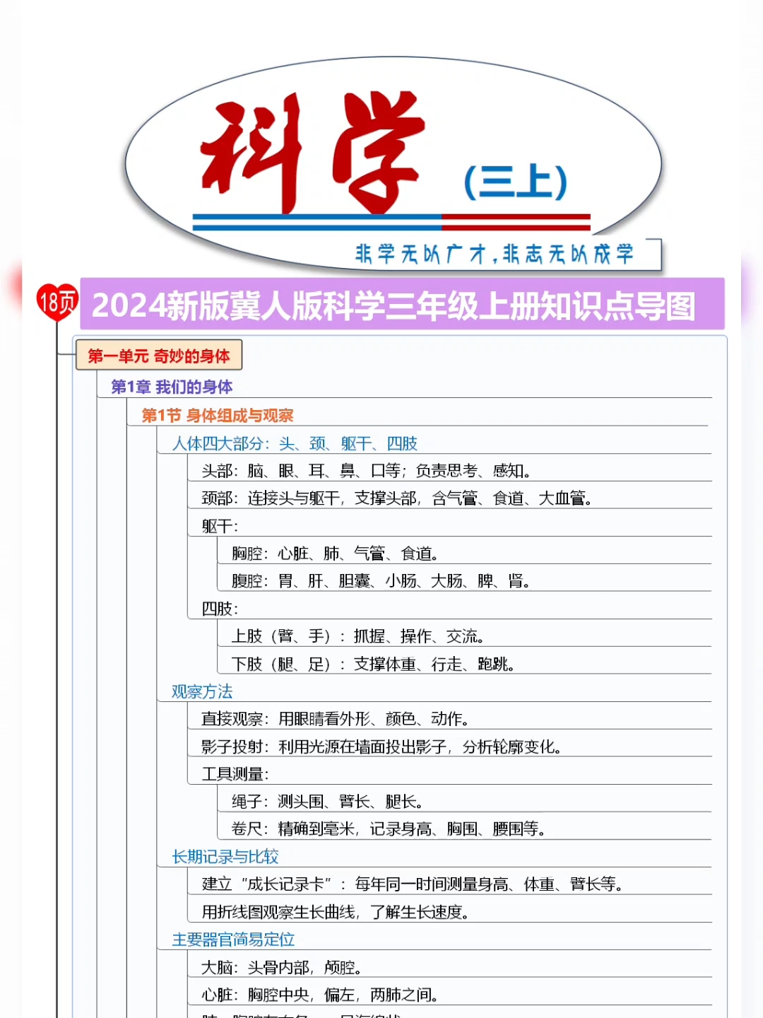 2024版冀人版科学三年级上册知识点思维导图
